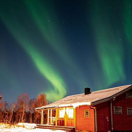 Trivelig Hytte I Senja. Exterior foto