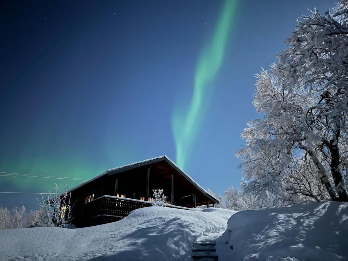 Trivelig Hytte I Senja. Exterior foto