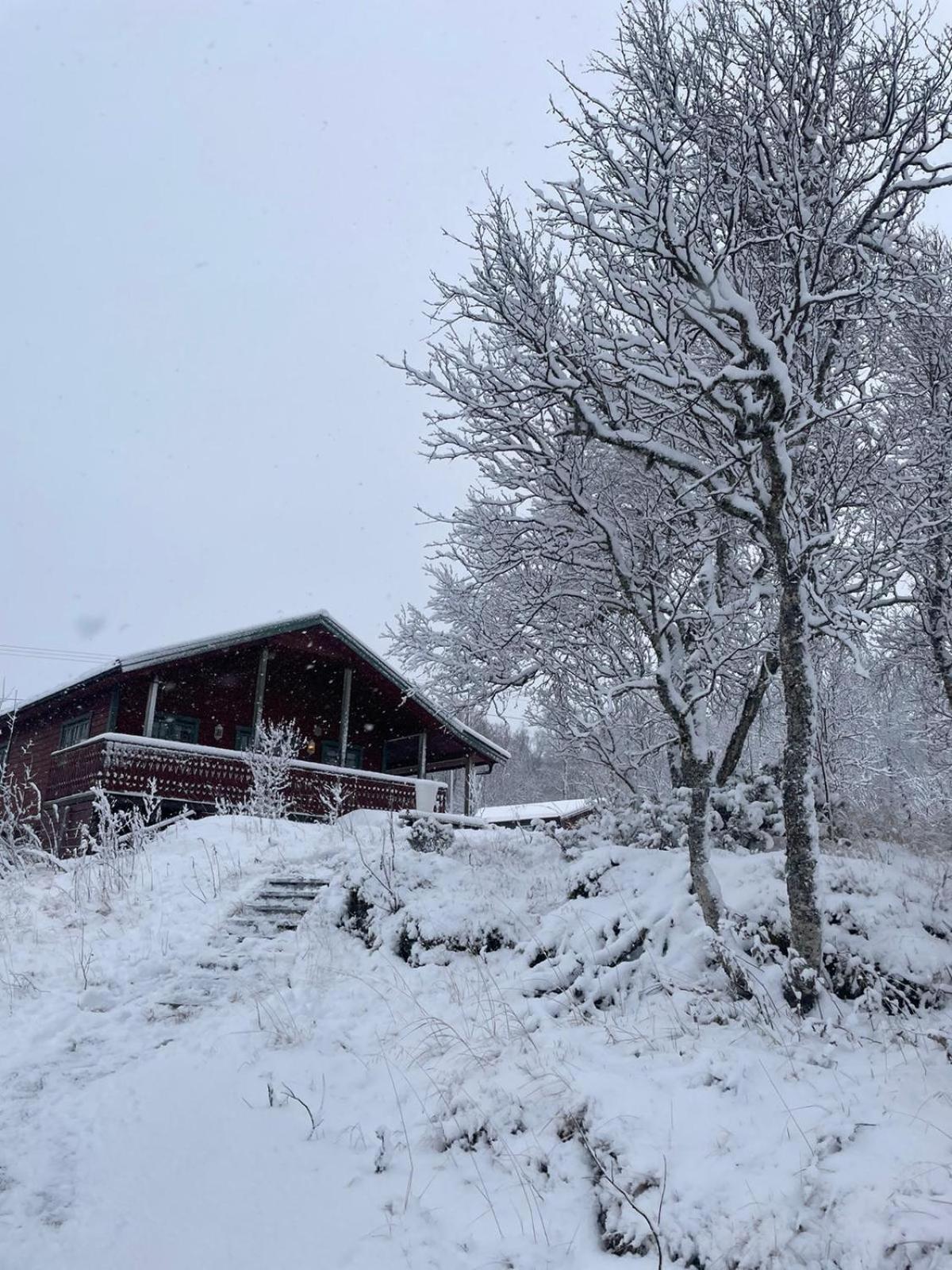 Trivelig Hytte I Senja. Exterior foto